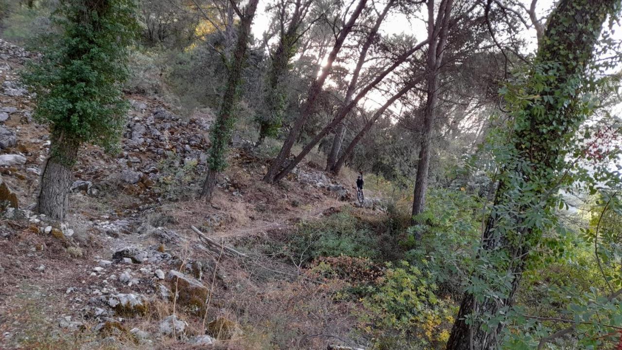 Casa Los Garcia Rute Εξωτερικό φωτογραφία